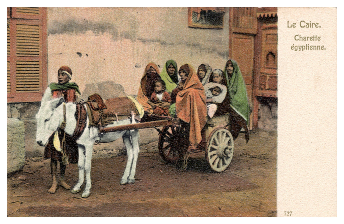 Cairo — Donkey Cart with Passengers — postcard front