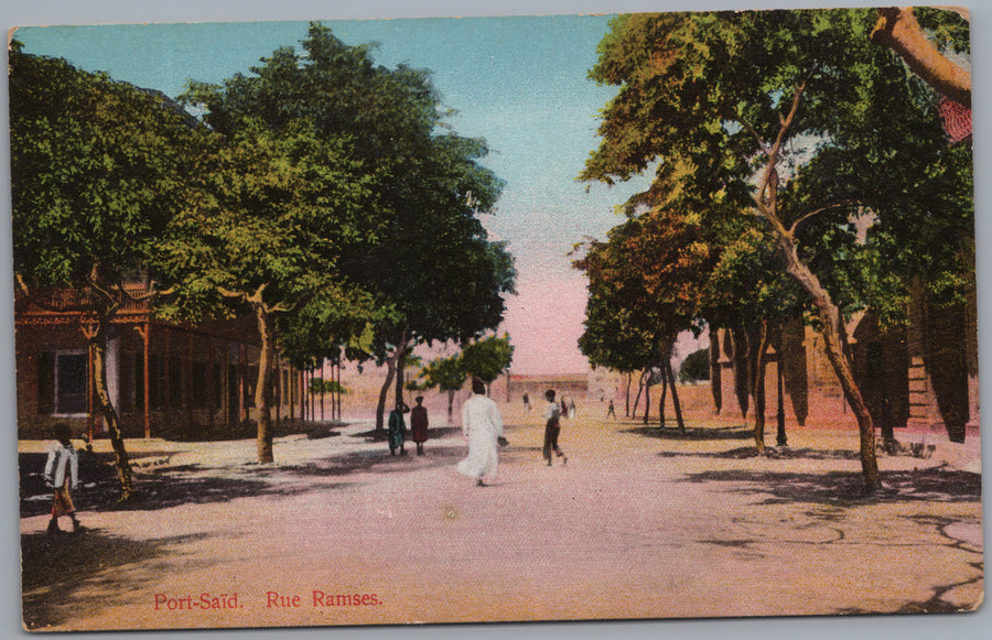 Egypt — Tree-Lined Street