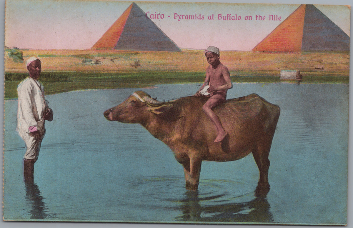 PC01120 | P12 | Giza — Buffalo and Figures near the Pyramids — front
