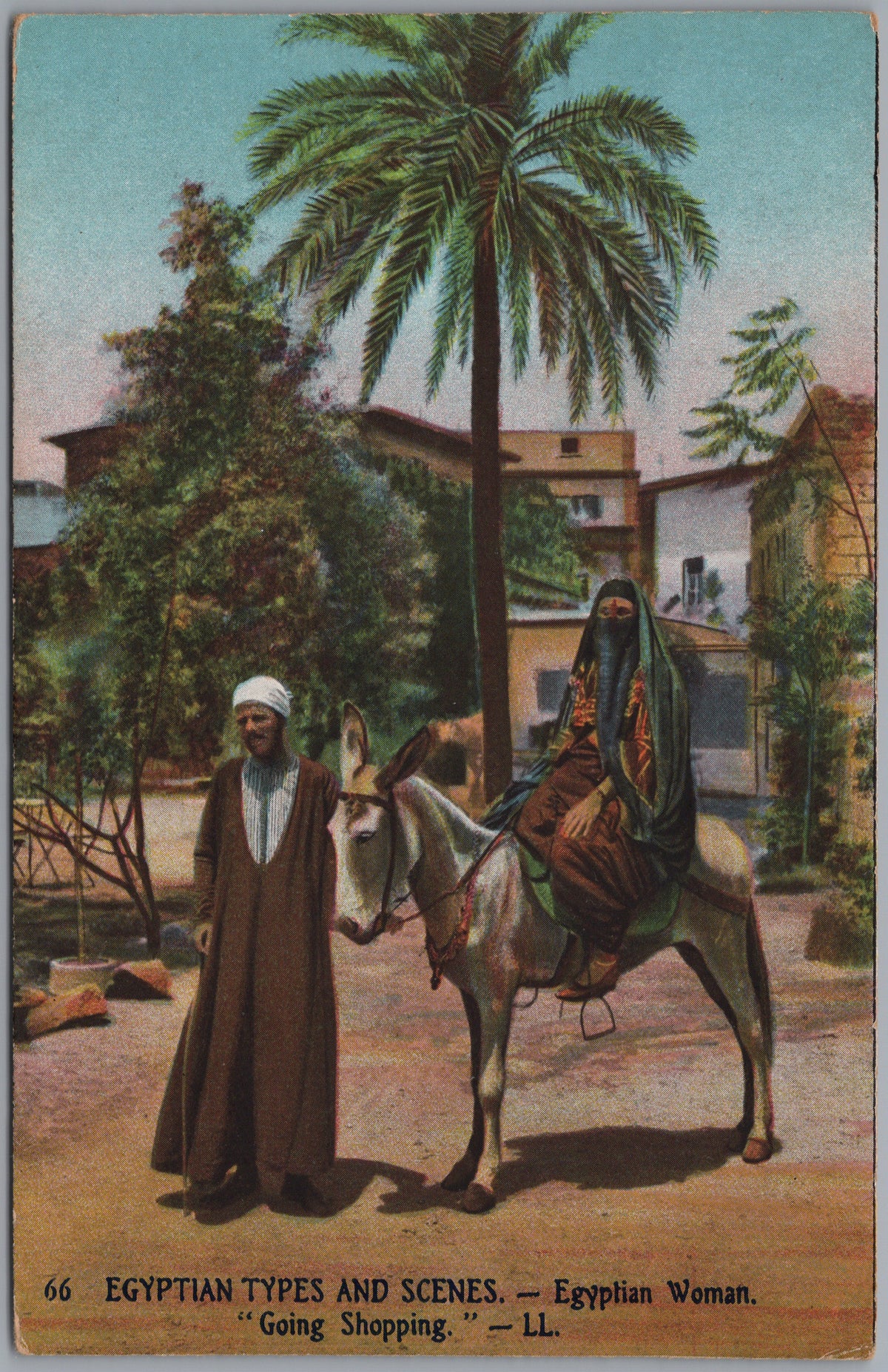 PC01122 | P13 | Egypt — Camel Rider beside Palm Trees — front