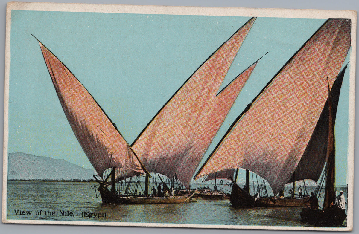 PC01183 | P19 | Egypt — Feluccas with Tall Sails — front