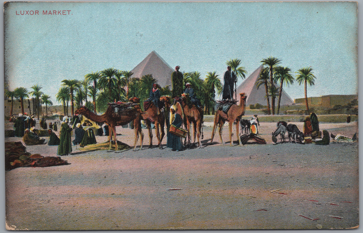 PC01235 | P24 | Giza — Camel Riders near the Pyramids — front