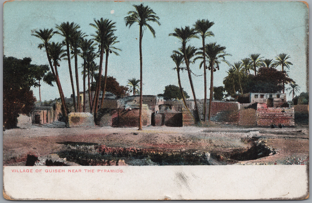 PC01249 | P25 | Egypt — Village Houses among Palm Trees — front