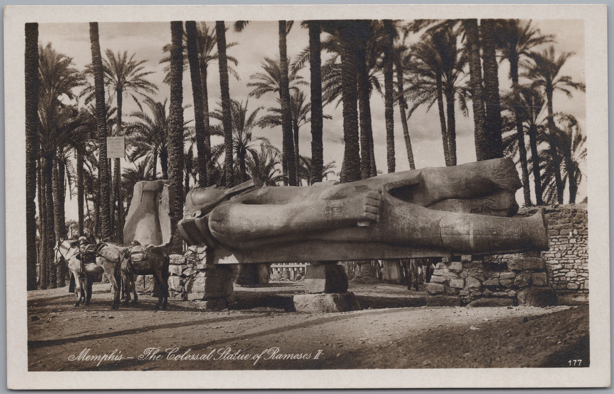PC01263 | P27 | Memphis — Reclining Colossal Statue among Palms — front