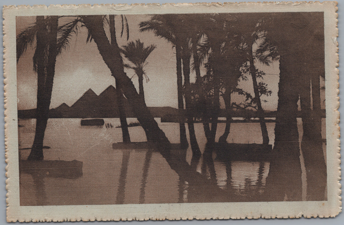 PC01279 | P28 | Giza — Pyramids through Palms during the Flood — front