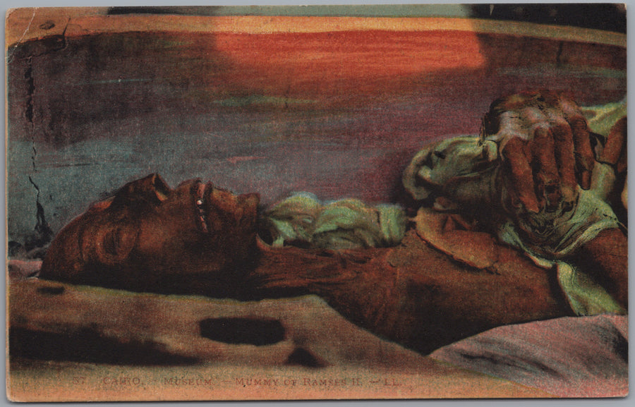Cairo — Ancient Egyptian Mummy Display