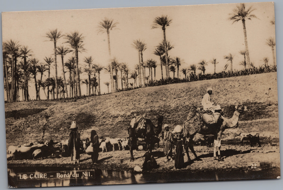 PC01333 | P34 | Egypt — People and Animals beside a Palm Grove — front