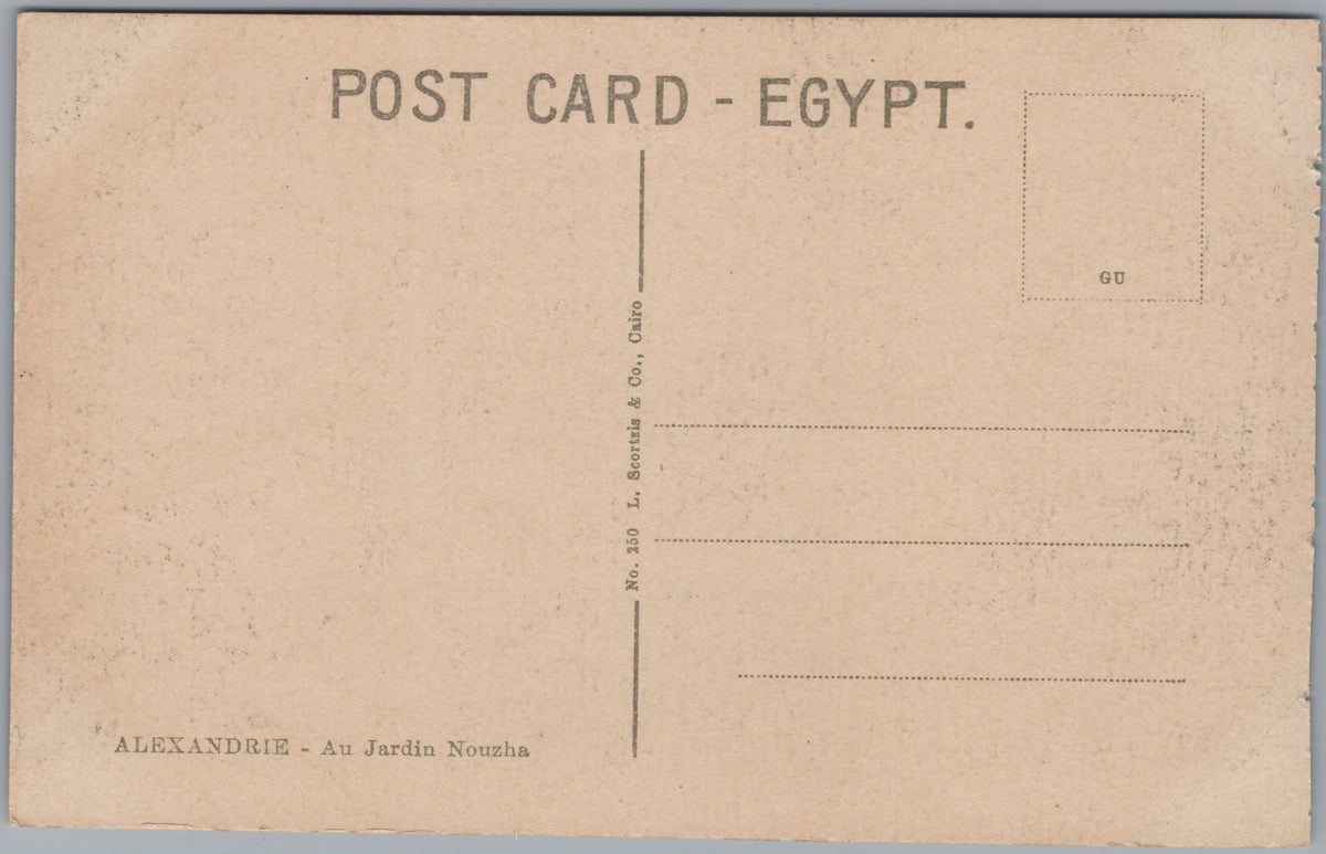 PC01440 | P44 | Alexandria — Animals in the Gardens — reverse