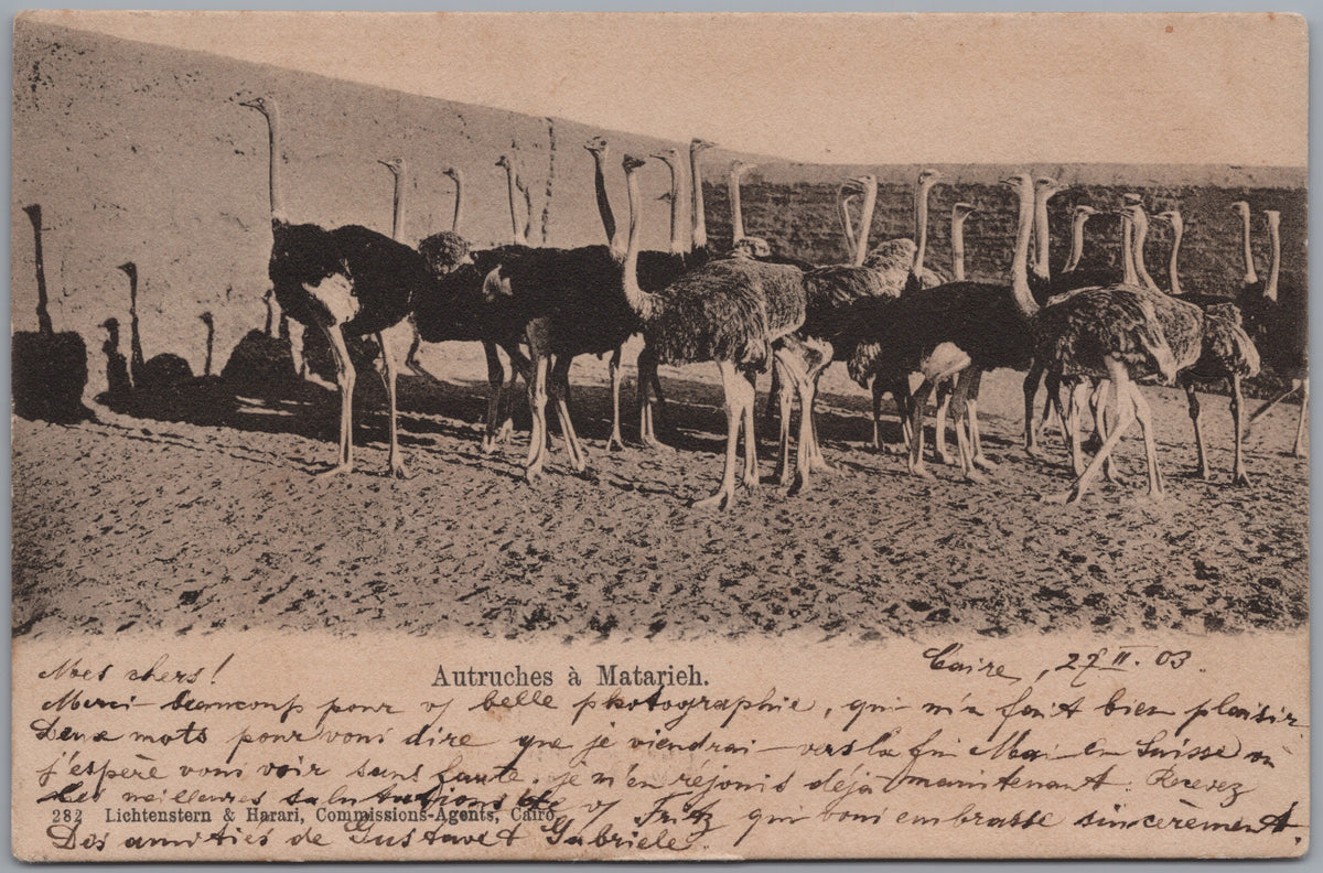 PC02064 postcard front