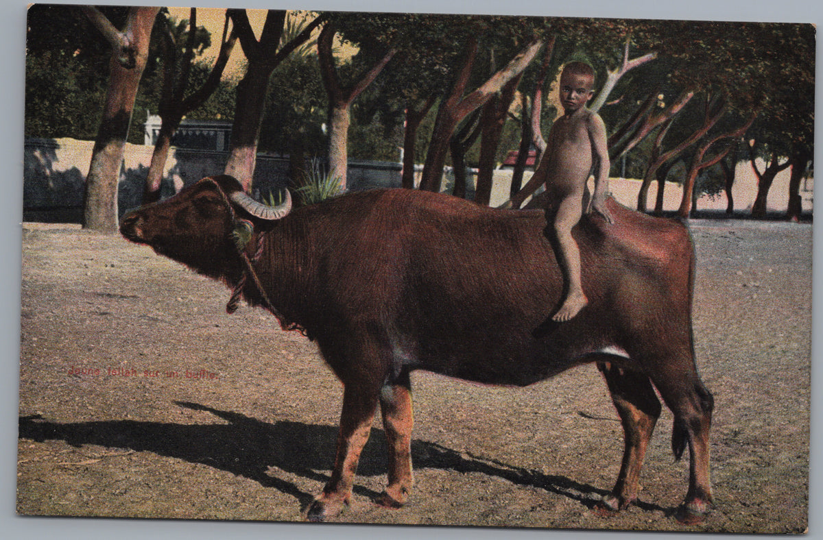 PC02068 postcard front