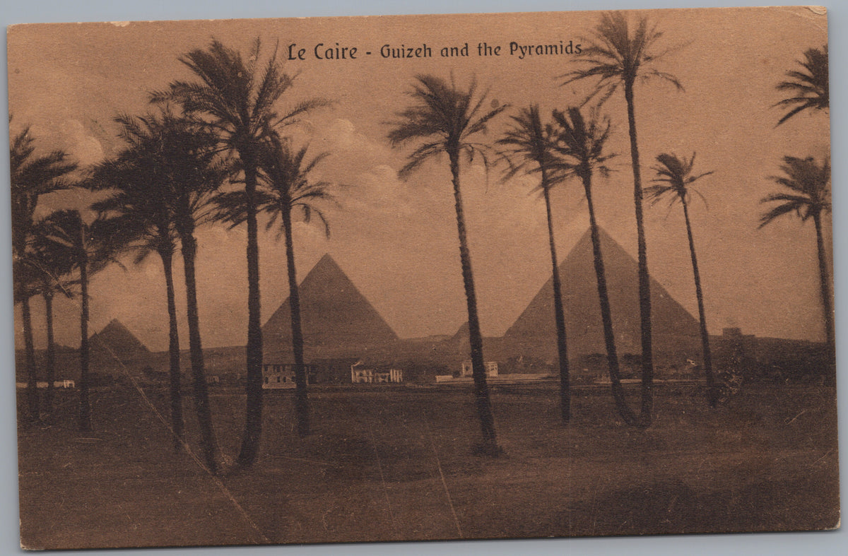 PC02164 front — Pyramids beyond a Palm Grove