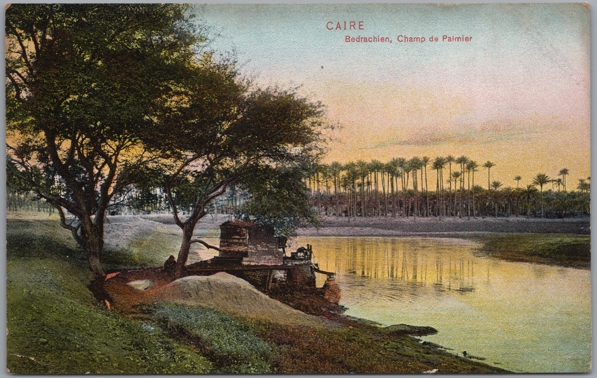 PC02205 front — Riverbank Trees and Distant Palm Grove