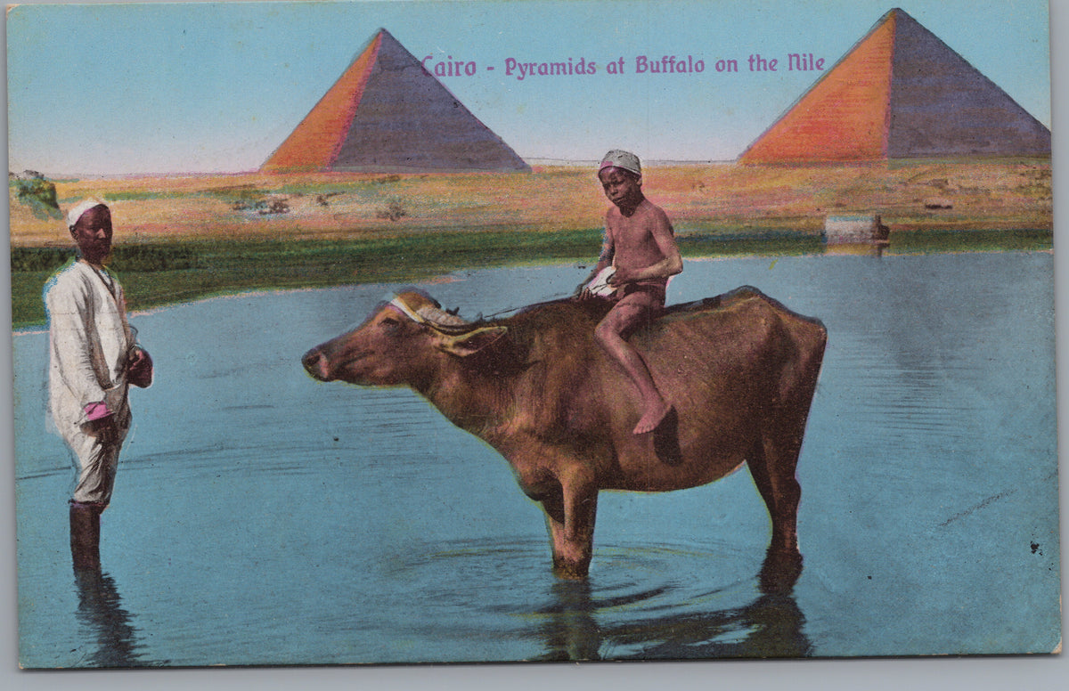 PC02218 front — Buffalo Rider in Water before the Pyramids