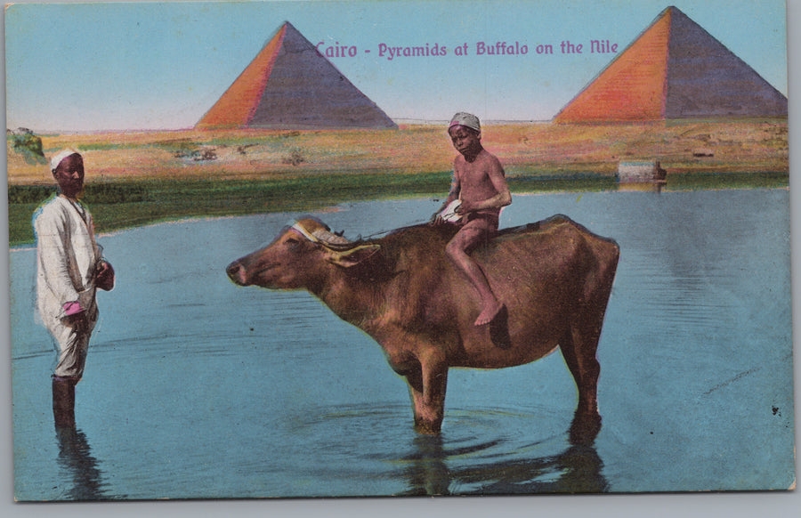 Giza — Buffalo Rider in Water before the Pyramids