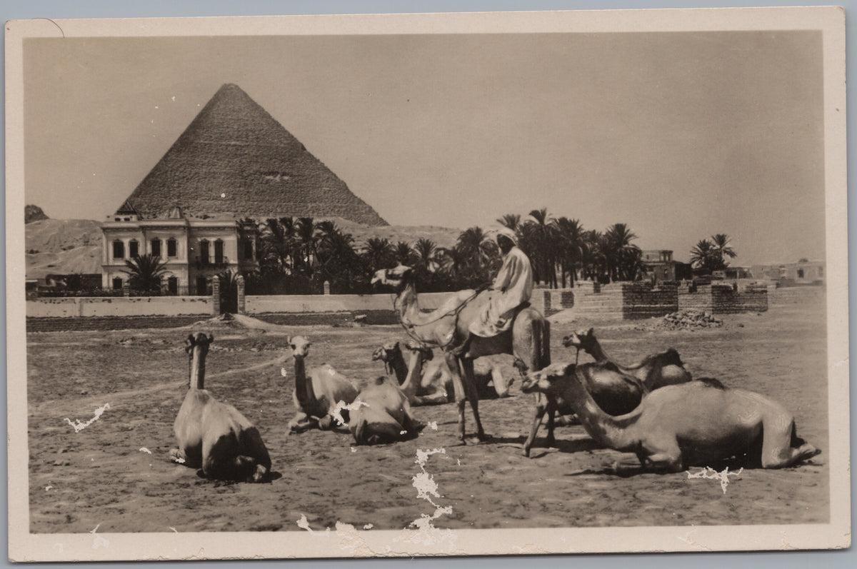 PC02269 front — Resting Camels and Pyramid
