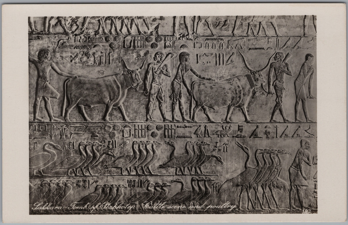 PC02285 front — Cattle and Birds in a Tomb Relief