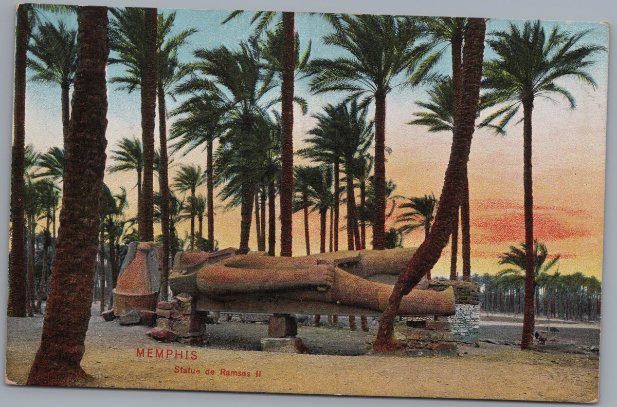 PC02358 front — Ramses II Statue among Palms
