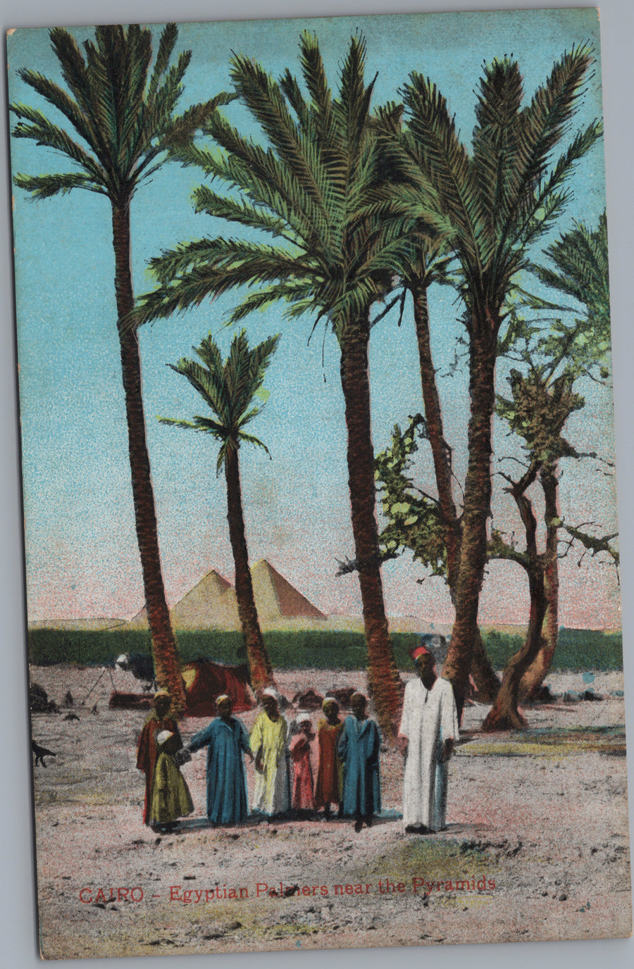 Giza — Group beneath Palms near the Pyramids