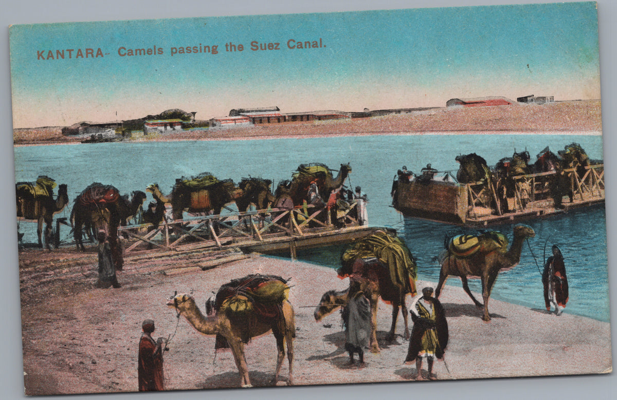 PC02462 front — Camels Crossing the Suez Canal