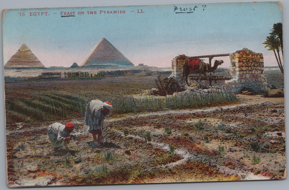 PC02473 front — Field Workers near the Pyramids