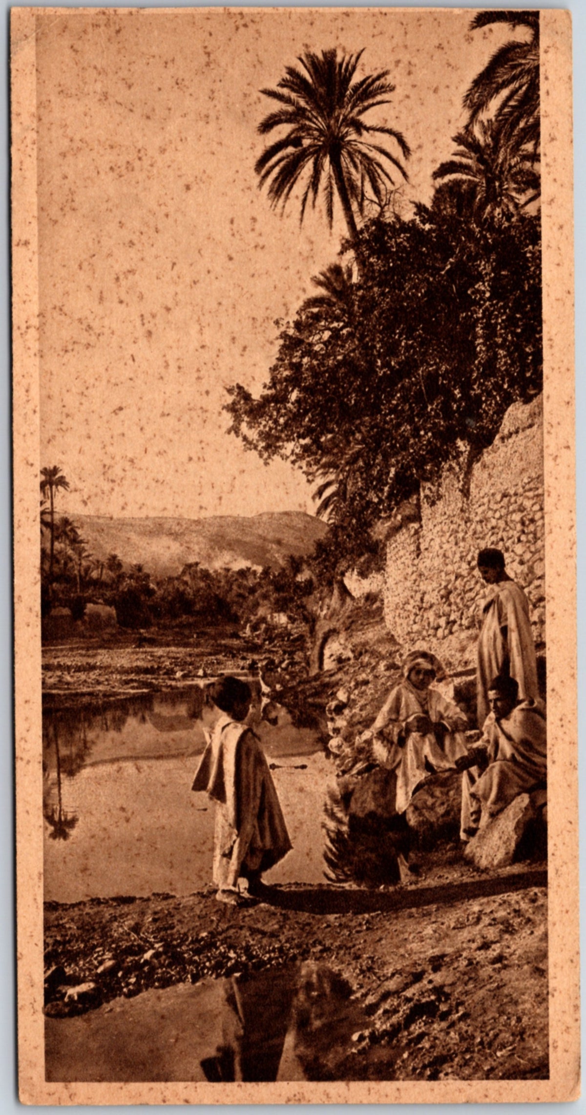 Egypt — Noontide Rest in the Oasis — postcard front