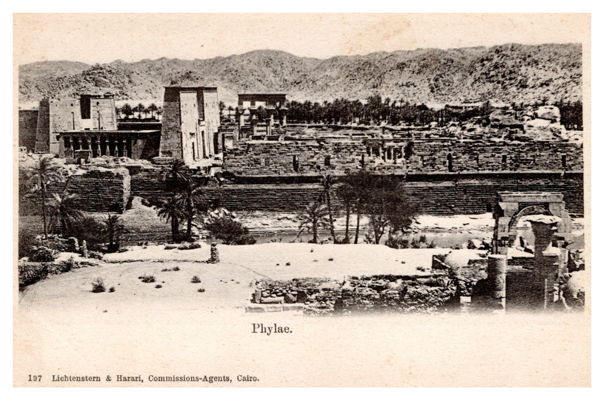 Philae — Temple Ruins and Palm Trees — postcard front