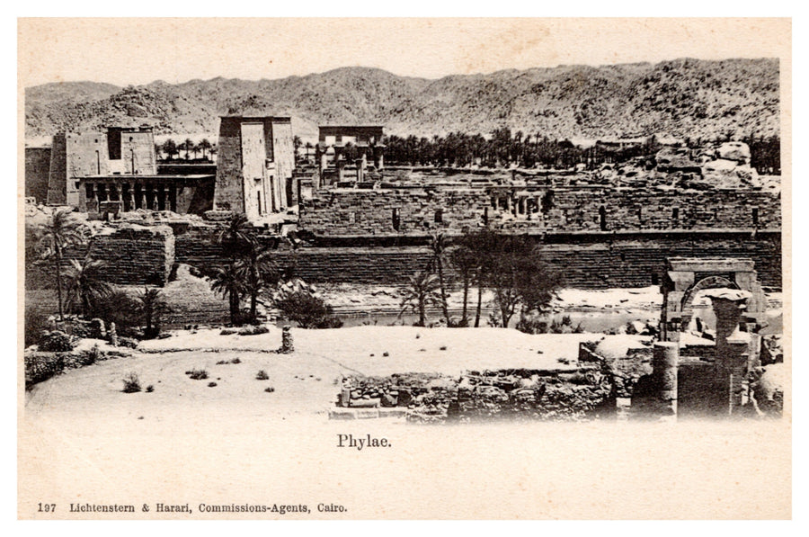 Philae — Temple Ruins and Palm Trees