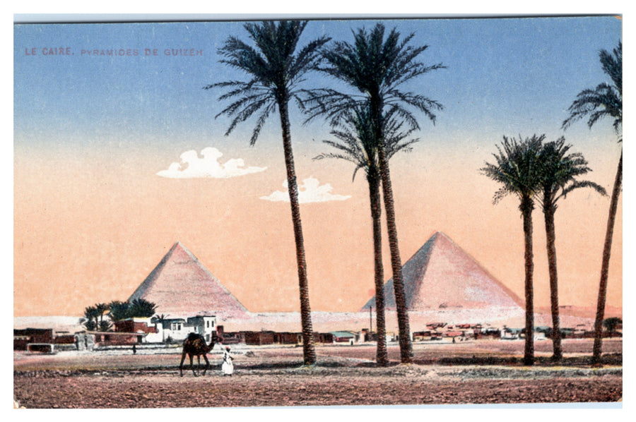 Giza — Pyramids, Palm Trees and Camel