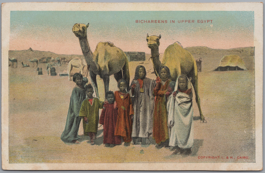 Egypt — Camel Riders and Desert Group