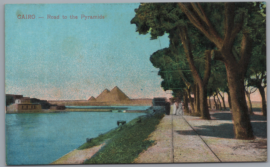 Giza — Tree-Lined Road to the Pyramids
