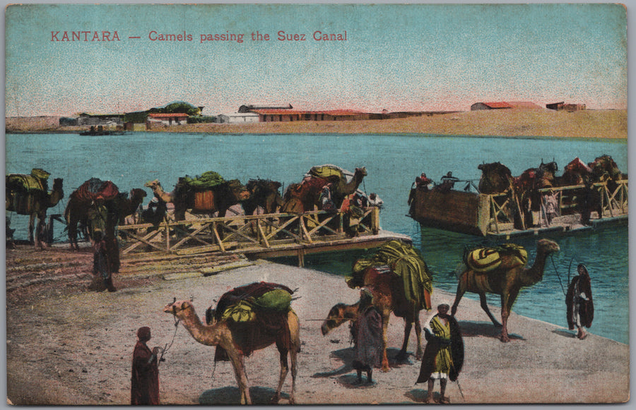 Kantara — Camels at the Canal Crossing