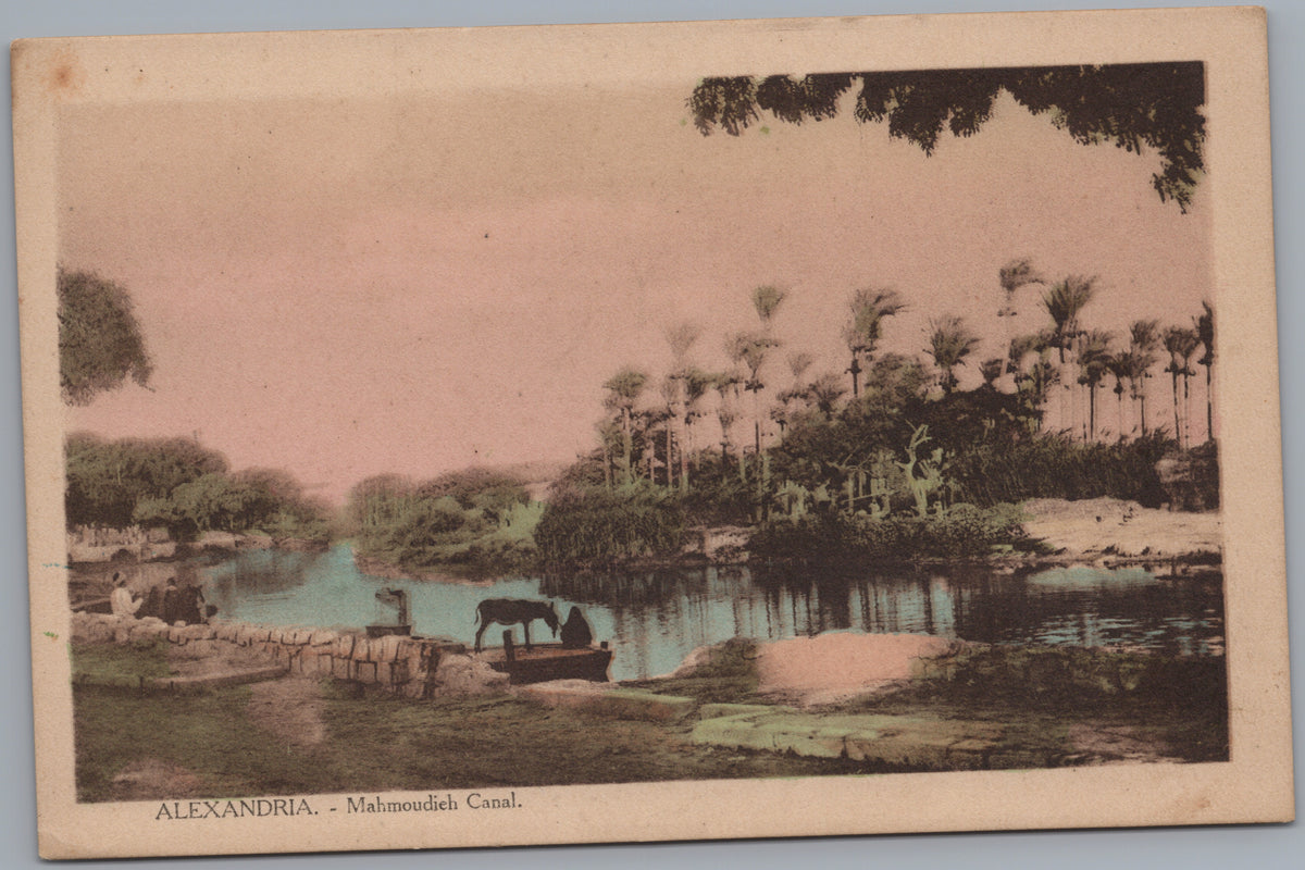 PC01152 | P16 | Alexandria — Palms beside the Mahmoudieh Canal — front