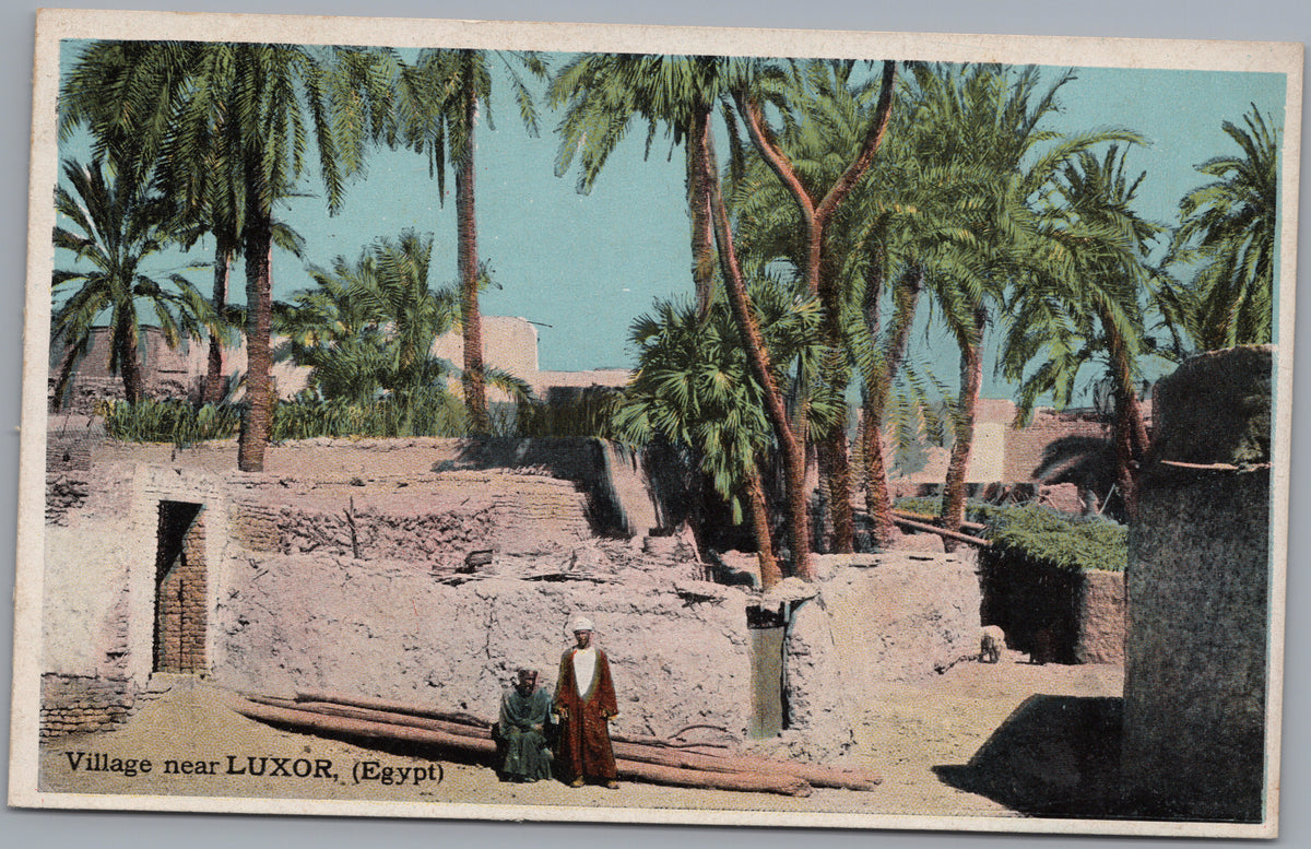 PC01186 | P19 | Luxor — Palm Trees above Village Houses — front