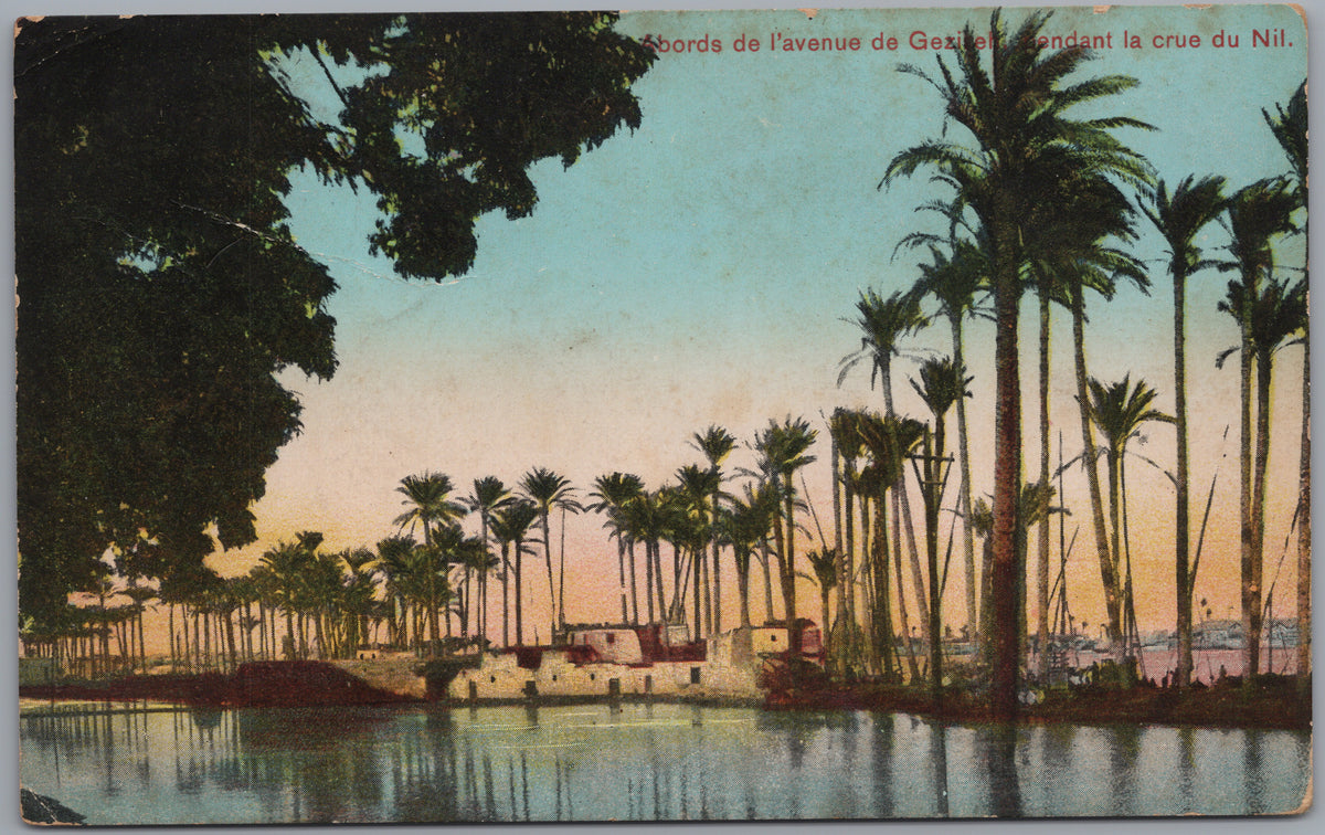 PC01202 | P21 | Egypt — Palm-Lined Village beside the Nile — front