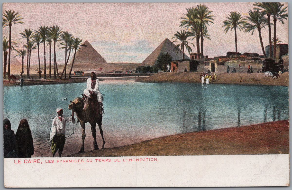 PC01232 | P24 | Giza — Camel Rider beside Floodwater and Pyramids — front