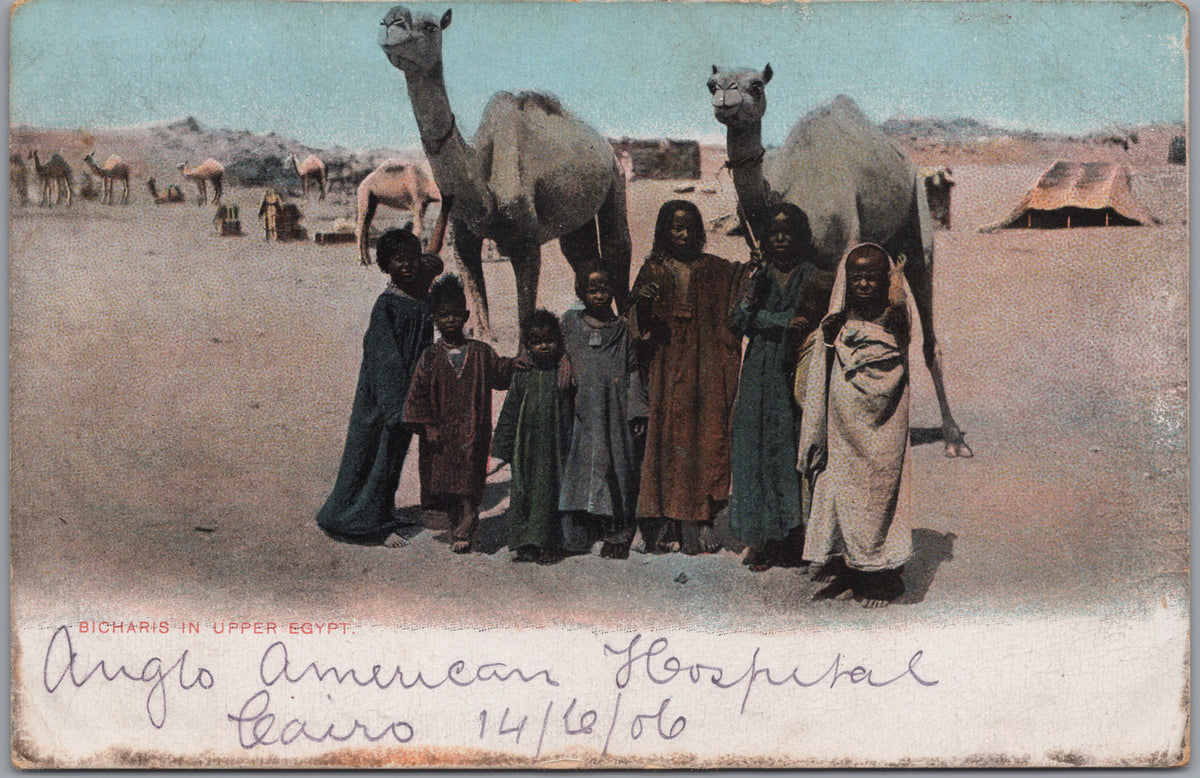 PC01234 | P24 | Egypt — People and Camels in the Desert — front