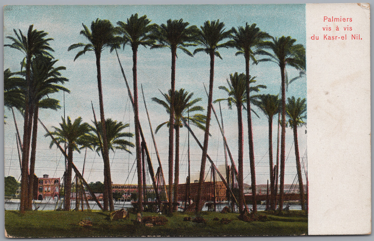 PC01251 | P26 | Egypt — Tall Palms beside the Nile — front