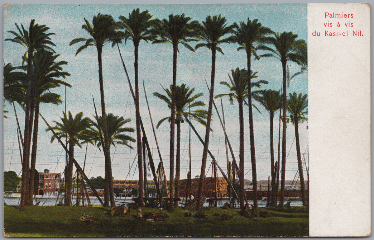 PC01252 | P26 | Egypt — Palm Grove along the River — front
