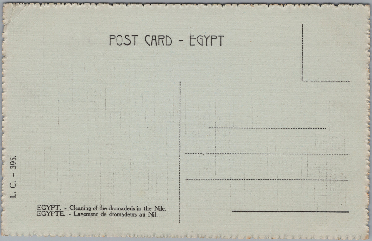 PC01275 | P28 | Egypt — Camels Standing in the Nile — reverse