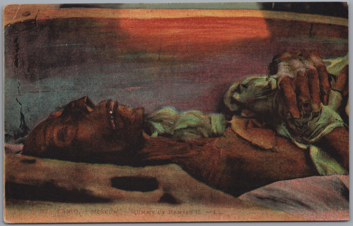 PC01315 | P32 | Cairo — Ancient Egyptian Mummy Display — front