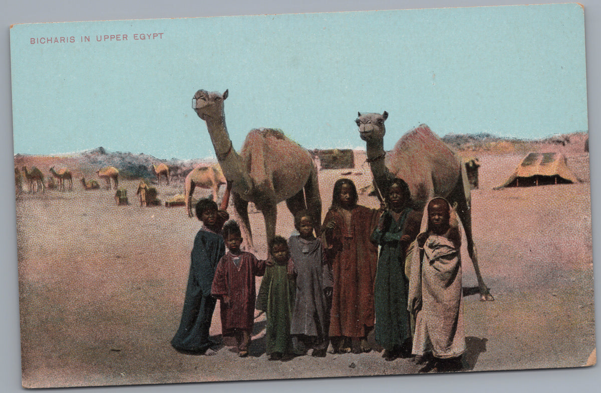 PC01338 | P34 | Egypt — Group beside Two Camels — front