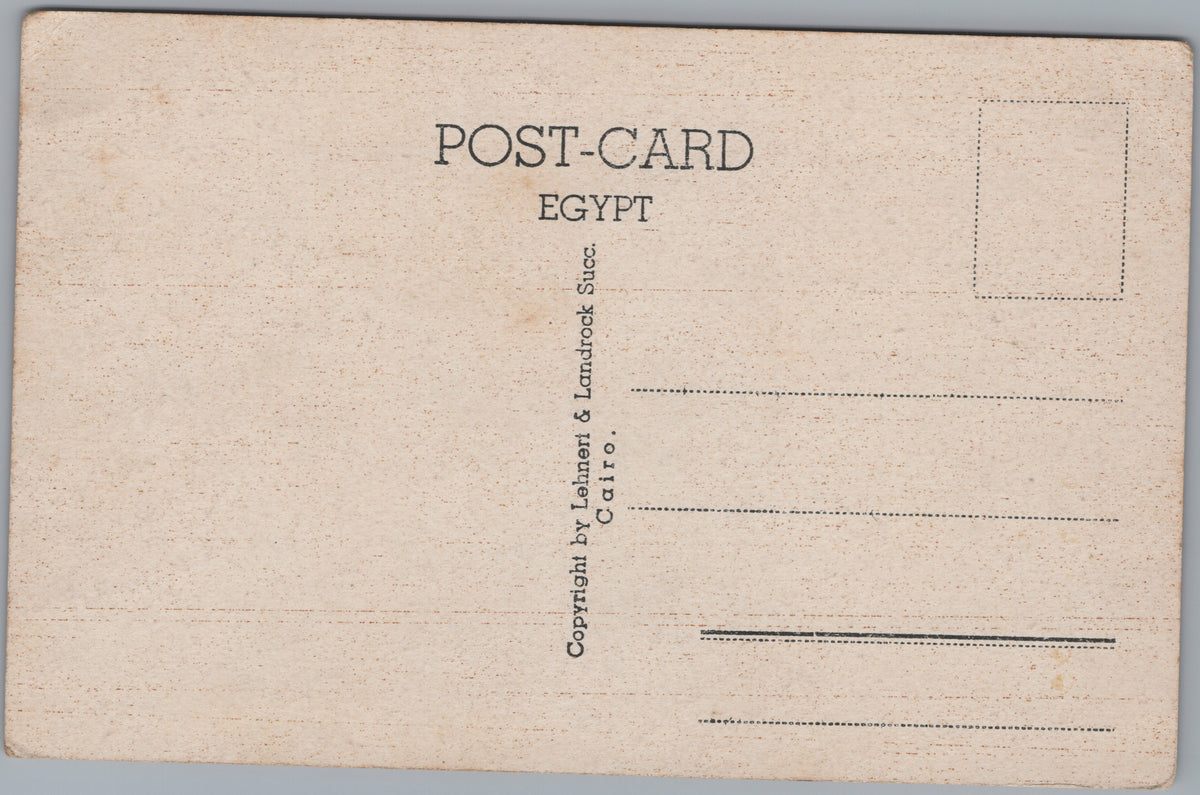 PC01404 | P41 | Alexandria — Gardens and Avenue — reverse