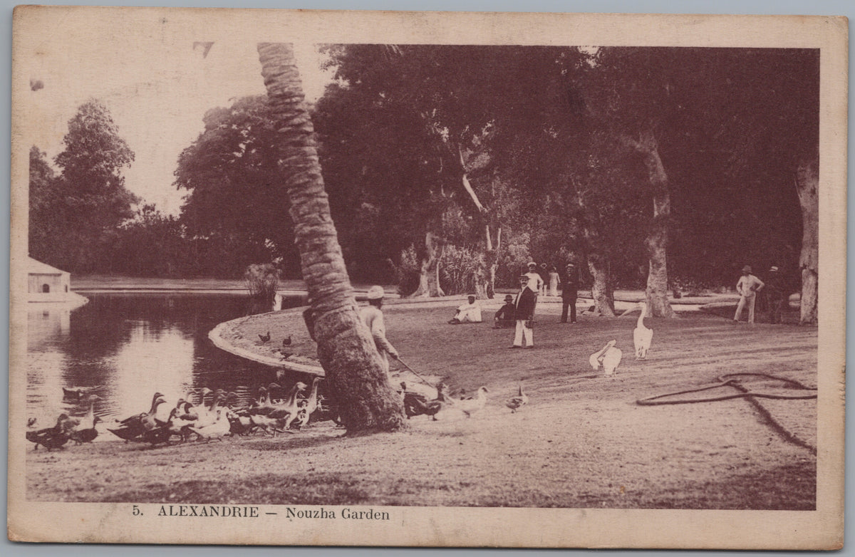 PC01449 | P45 | Alexandria — Public Gardens and Pond — front