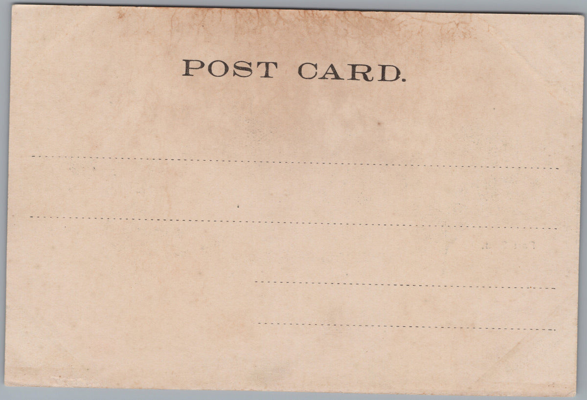 PC02003 back — Unposted postcard