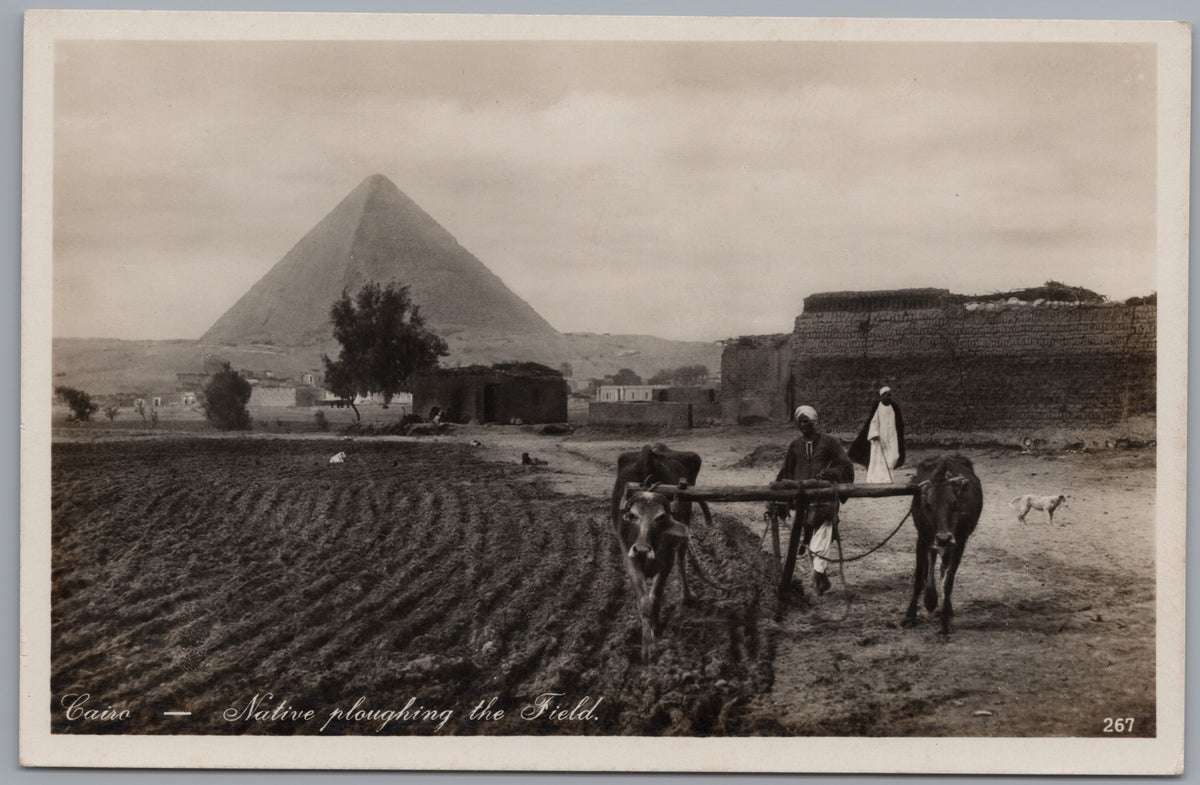 PC02006 front — Giza — Farmer Ploughing beneath a Pyramid