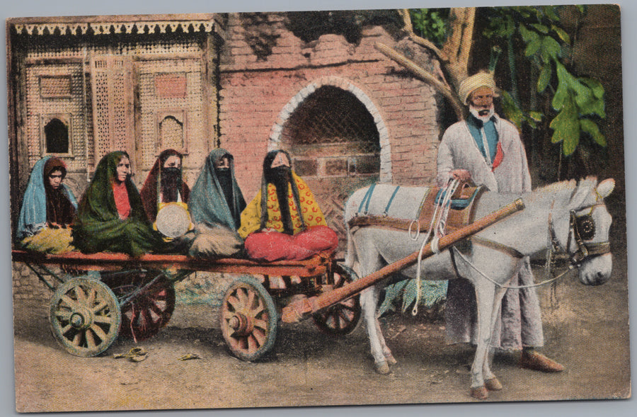 Egypt — Women on a Donkey Cart Ready for a Drive