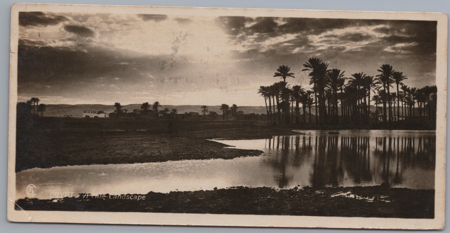 Egypt — Nile Landscape with Reflected Palms