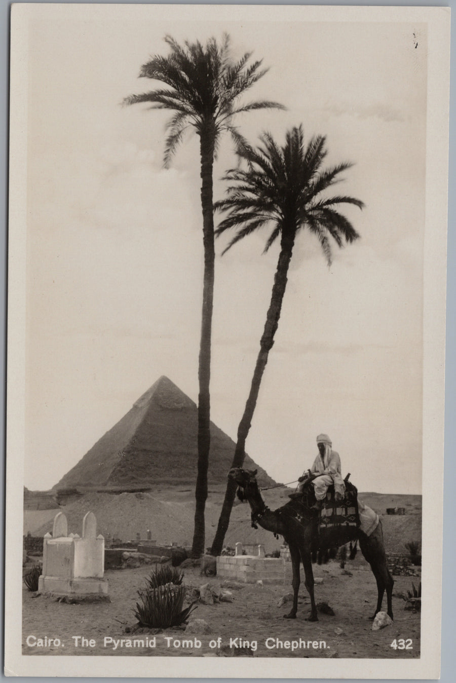 Giza — Khafre Pyramid with Palms and Camel Rider