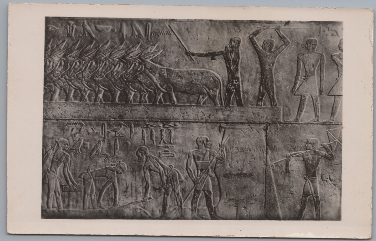 PC02138 front — Agricultural Wall Relief Attributed to Ti’s Tomb