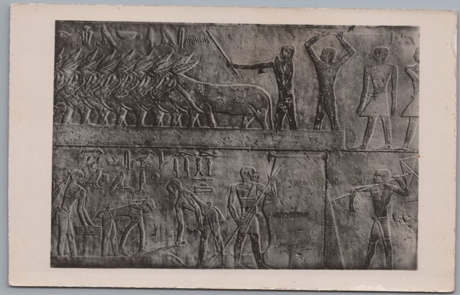 Saqqara — Agricultural Wall Relief Attributed to Ti’s Tomb